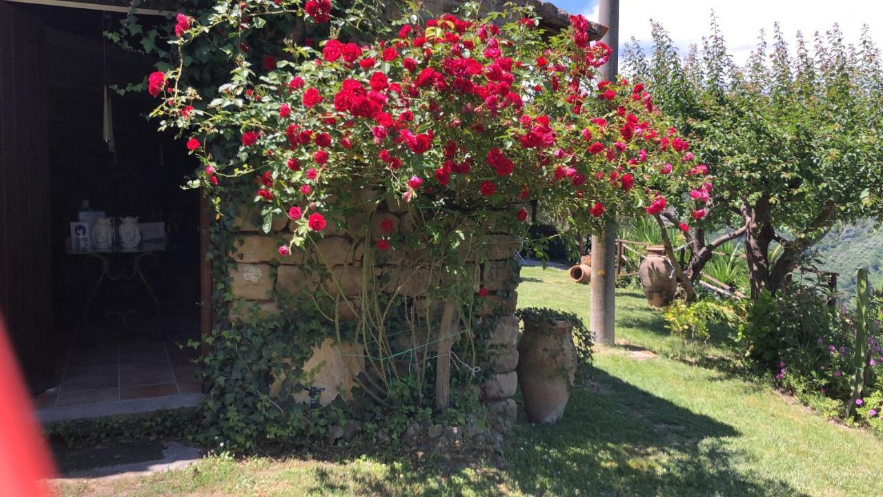 San Noto Antica Residenza Di Caccia Bed & Breakfast Ficarra ภายนอก รูปภาพ